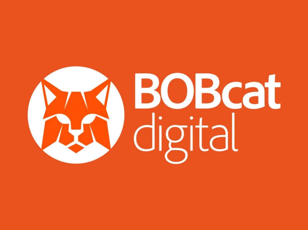 BOBcat-contact-us-panel.jpeg